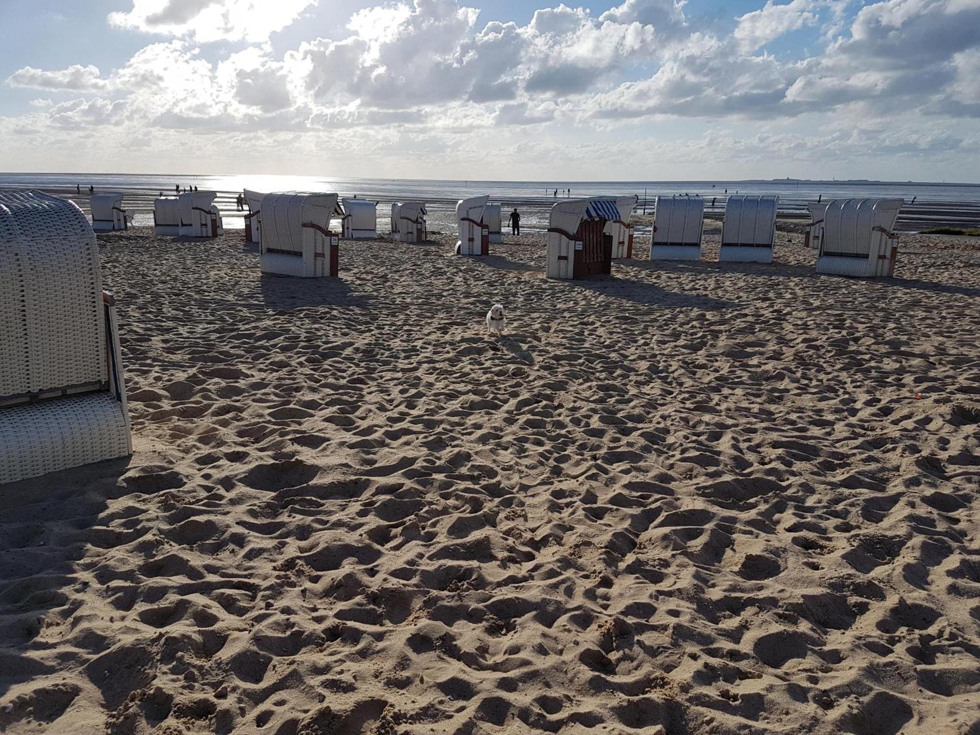 Appartement Watt & Wind - Tolles Schwimmbad à Cuxhaven Extérieur photo